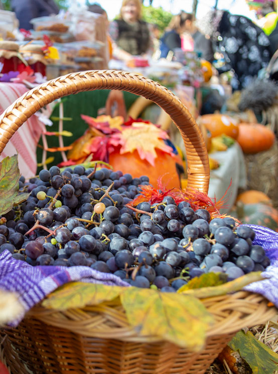 grapes in a basket